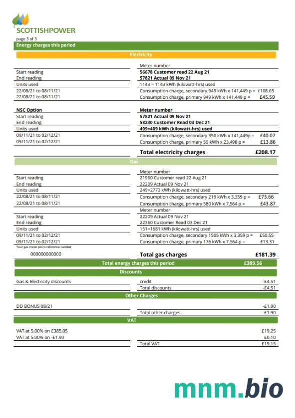 Szablon rachunku za media USA ScottishPower w formacie Word i PDF (3 strony) 3